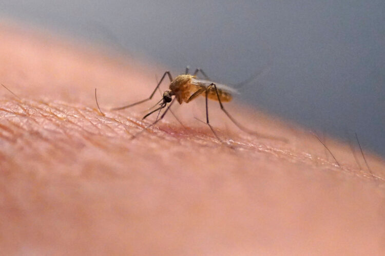 Science explains why scratching bug bites a bad idea
